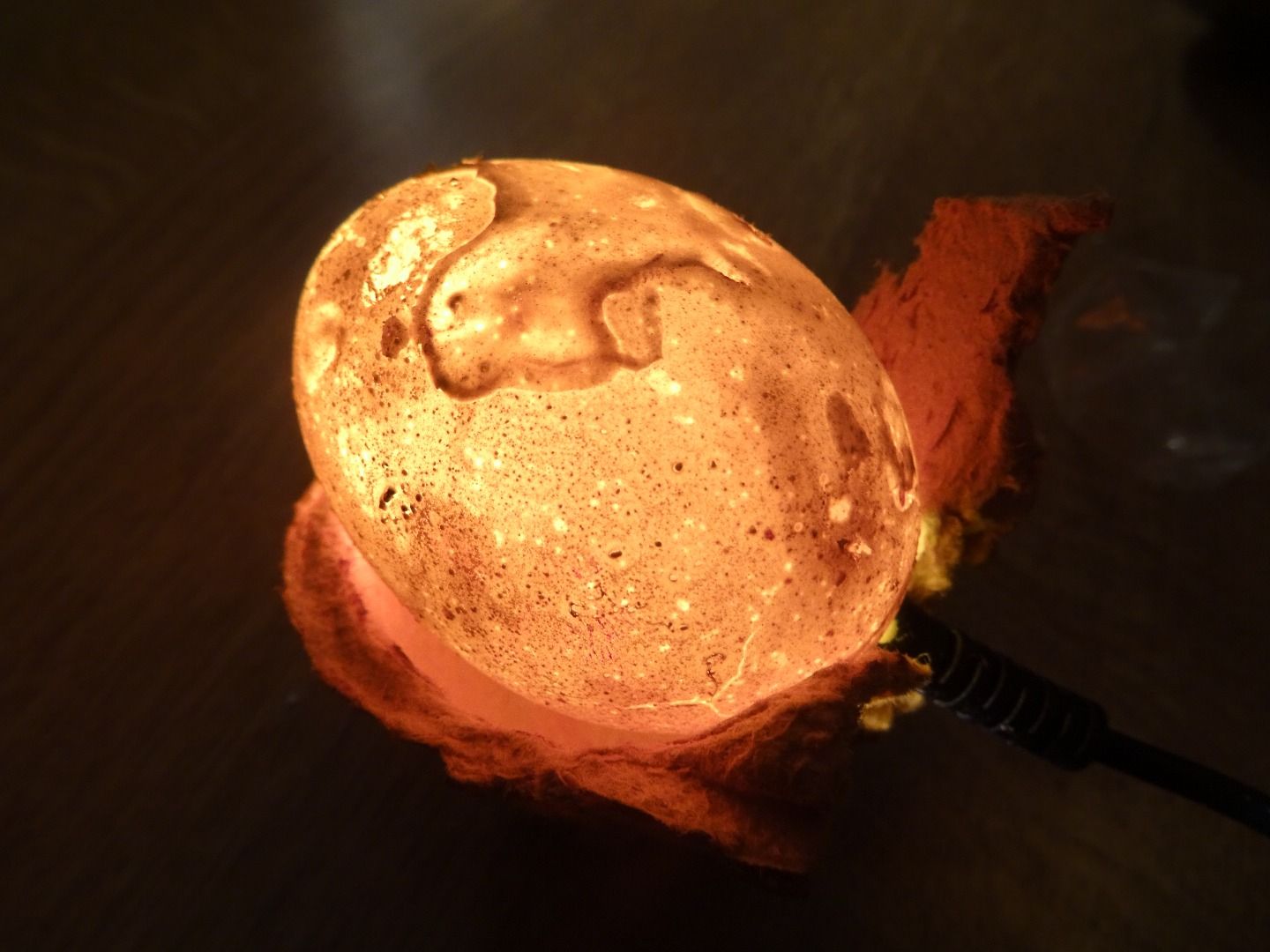 Egg Night Light