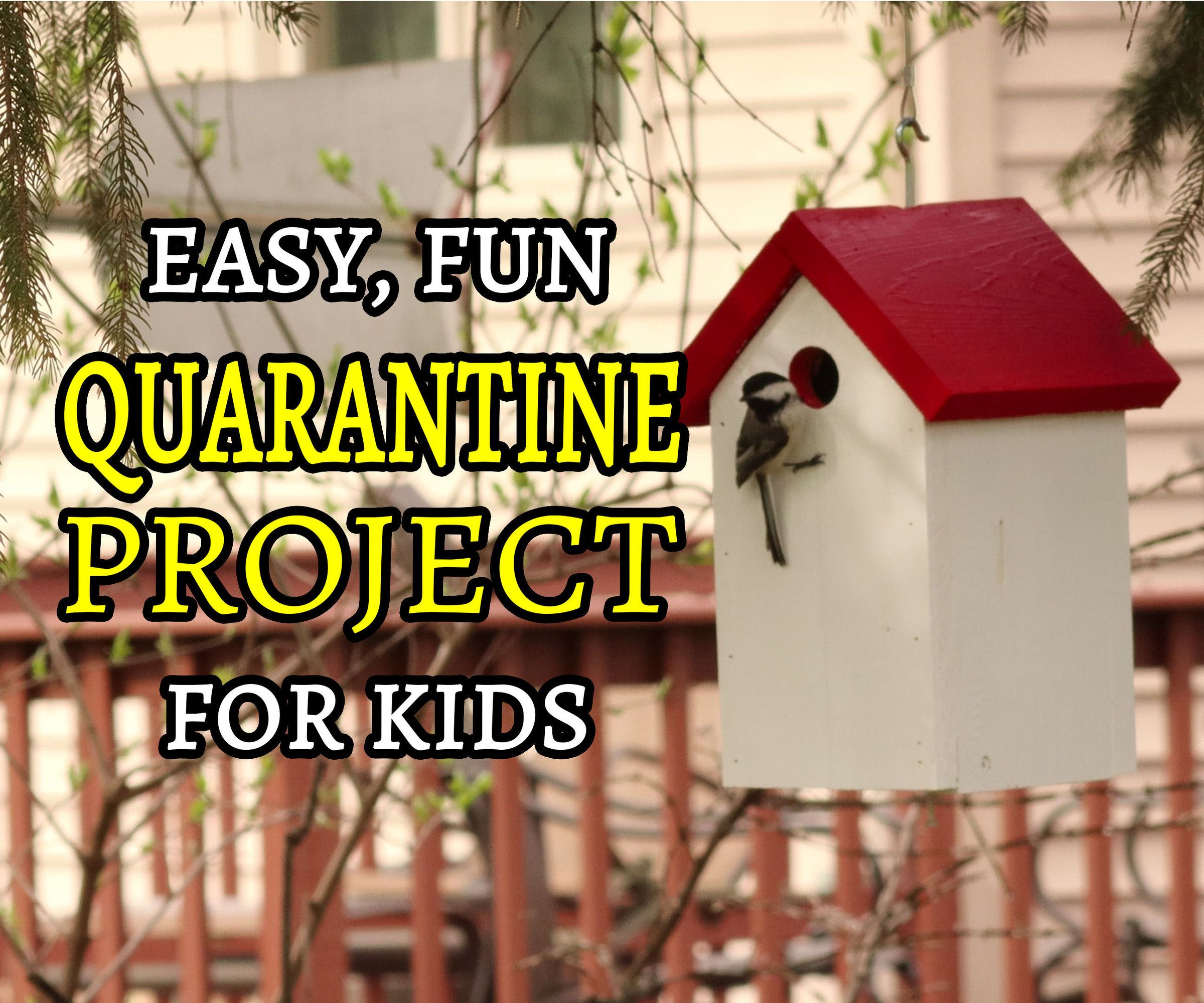 Simple Birdhouse | Easy Quarantine Project With the Kids | FREE PLANS!