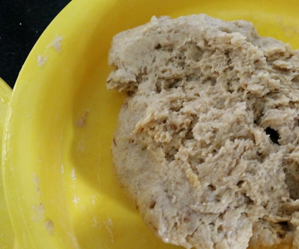 How to Make Yeast Substitute at Home 