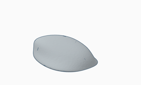 Step 1: Basic Shape