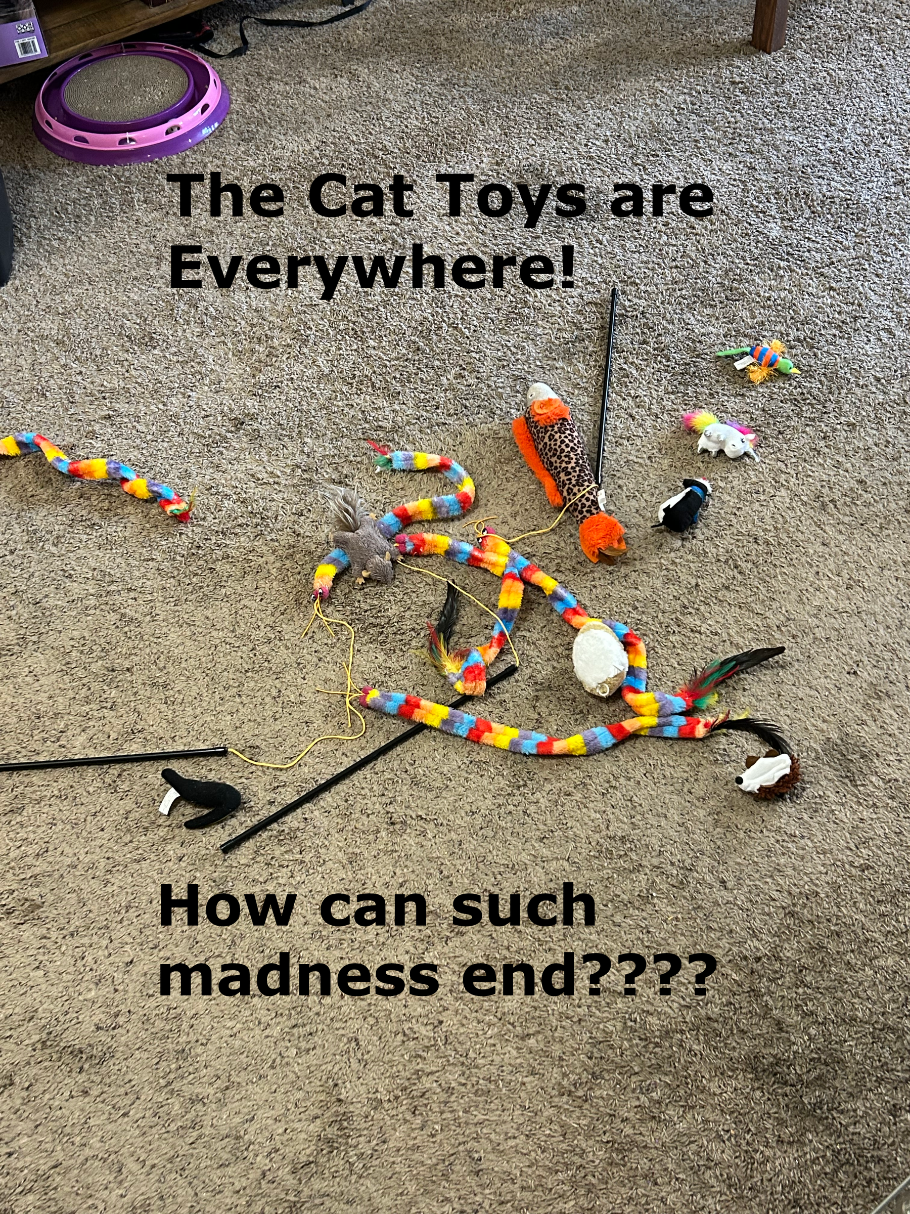 Cat Toy Box 7 Steps Instructables