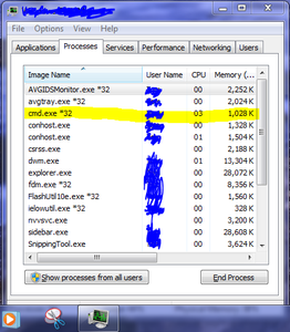 No Internet Explorer