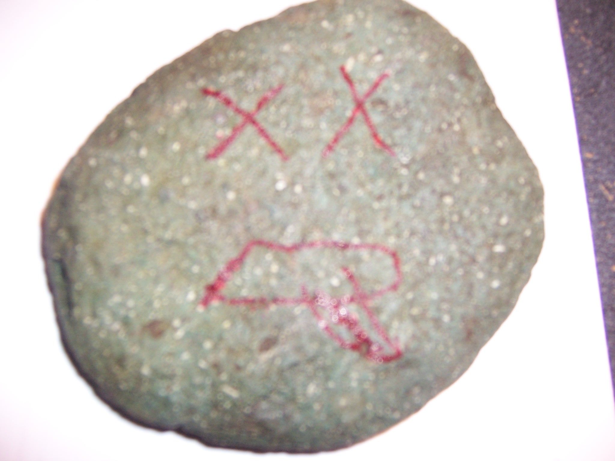 How to Revive Your Pet Rock!