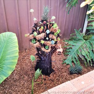 Tree Fern Planter