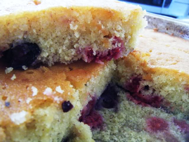 Raspberry & Blueberry Lime Drizzle Cake