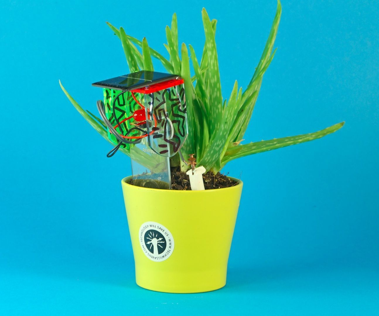 DIY Thirsty Plant Customisation