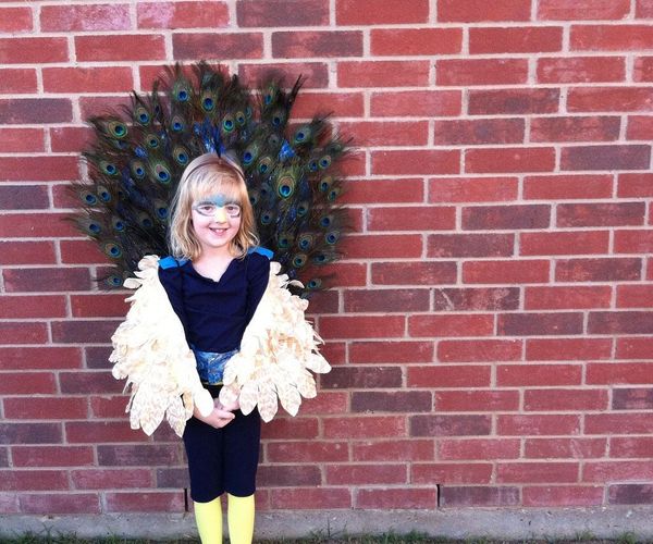 Peacock Costume for Kids