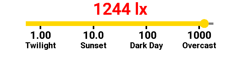 The Display Gauges
