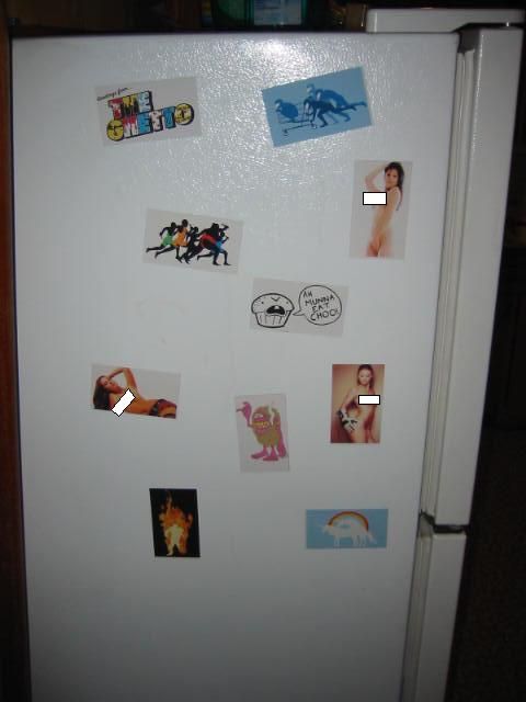 Picture Fridge Magnets