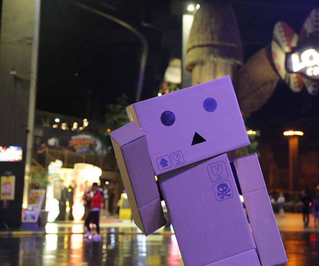 DANBO Card Board