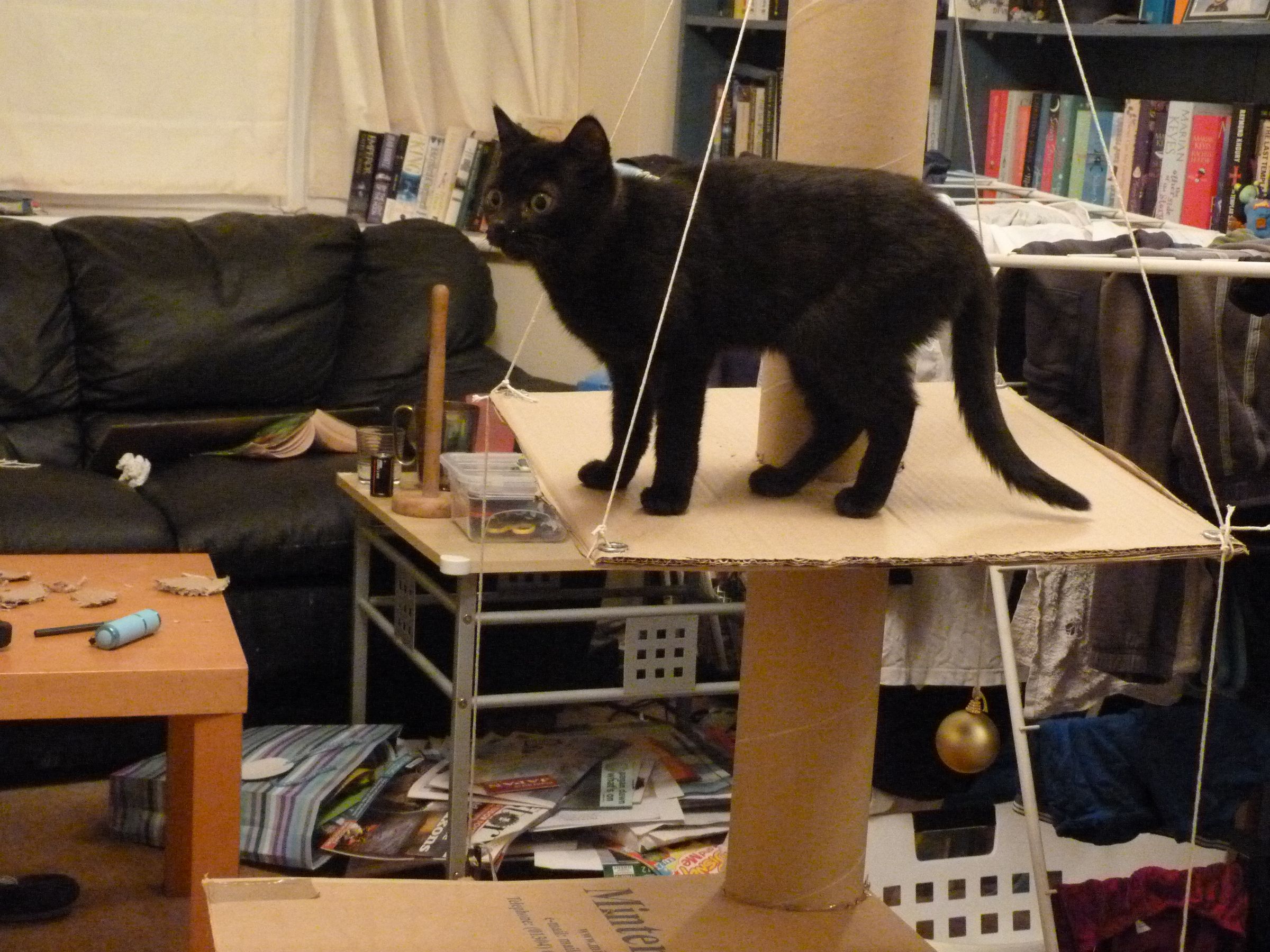 Cat Activity Centre Instructables