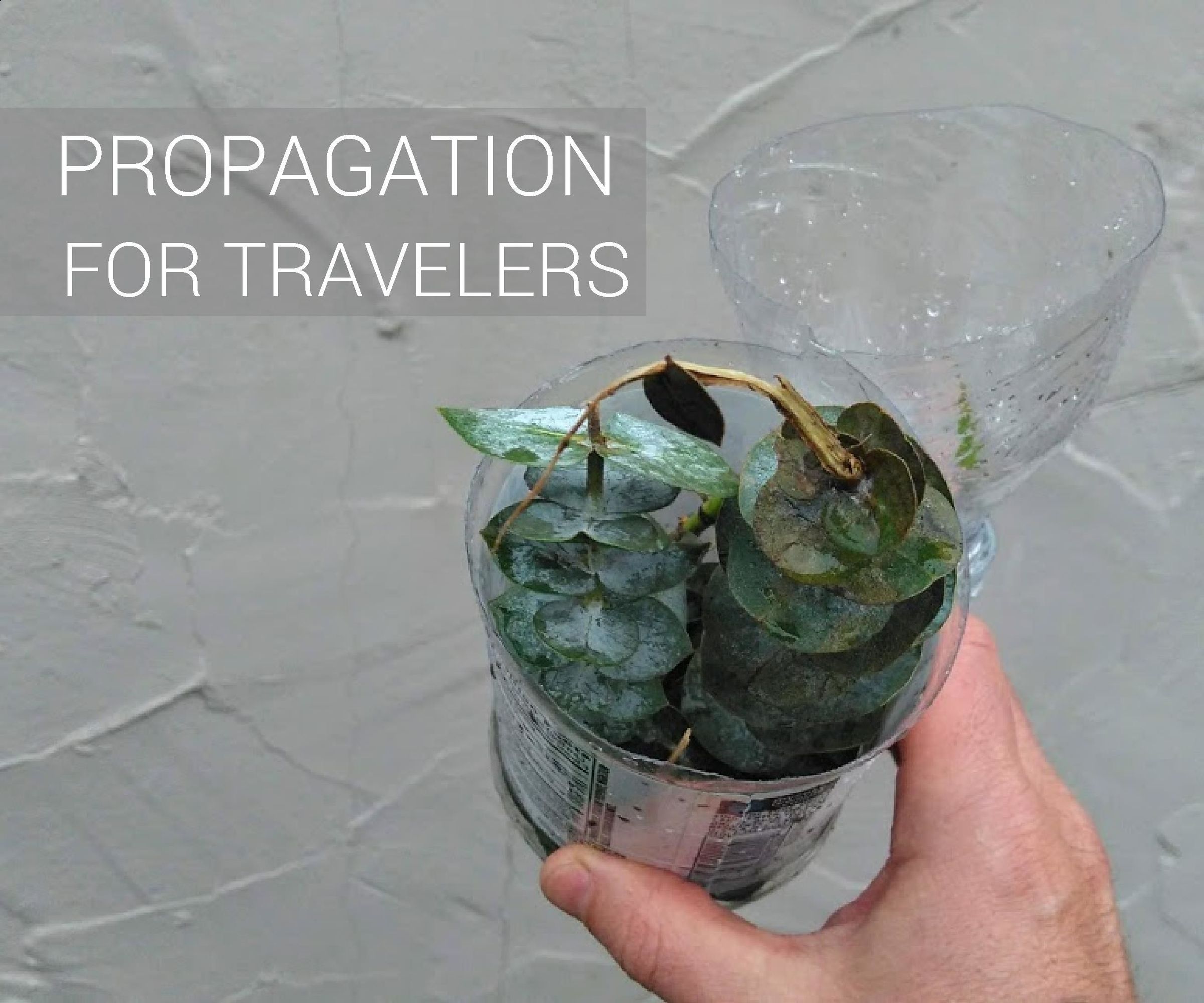 Propagation for Travelers