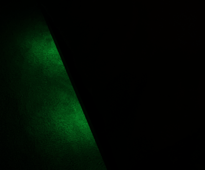 Motion detection bed light