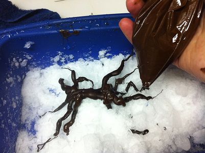Chocolate Raspberry Tree