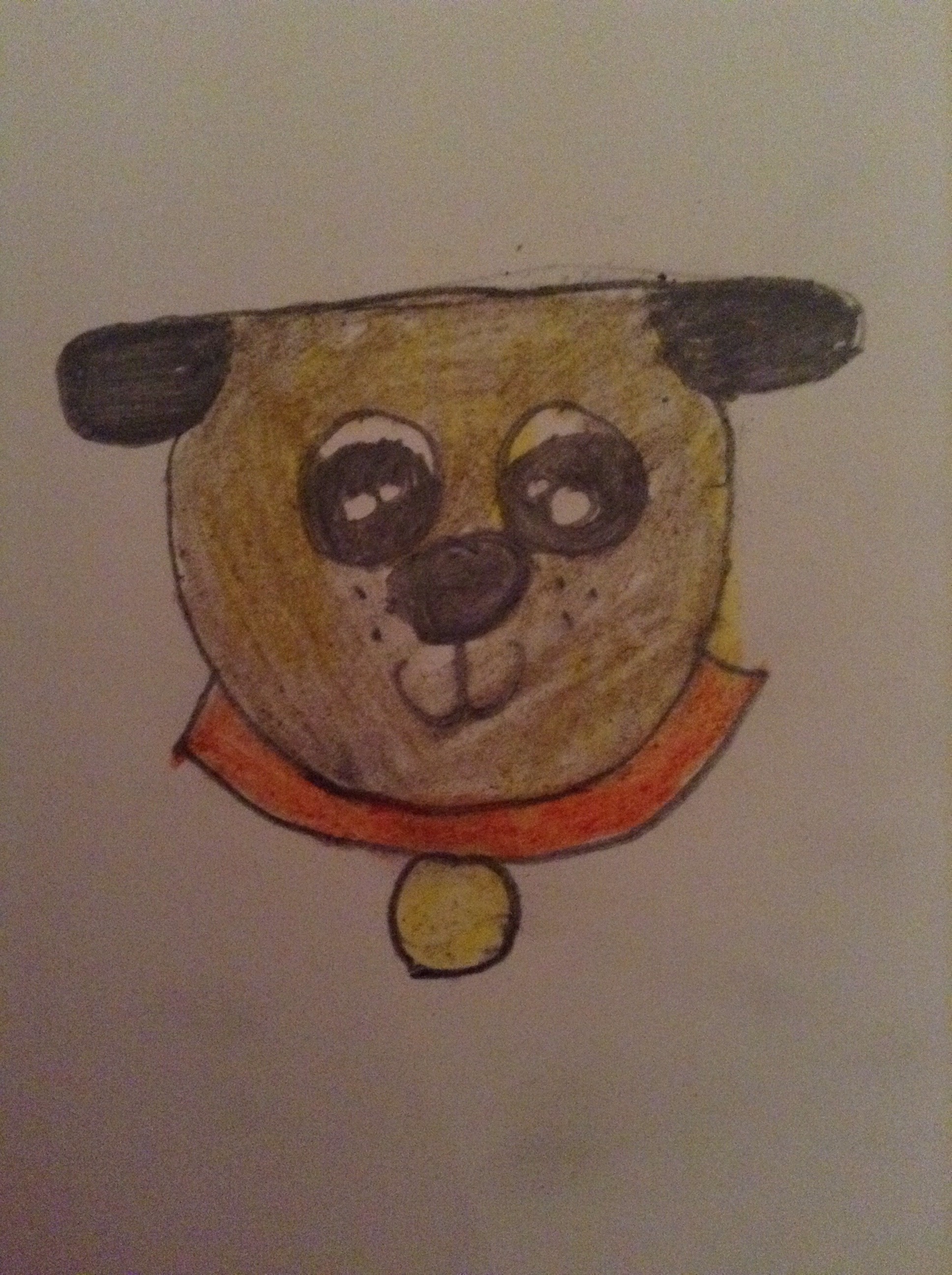 How To Draw A Cartoon Pug