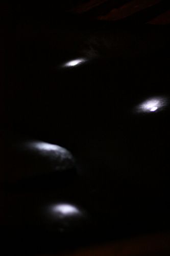 LED Snowies!