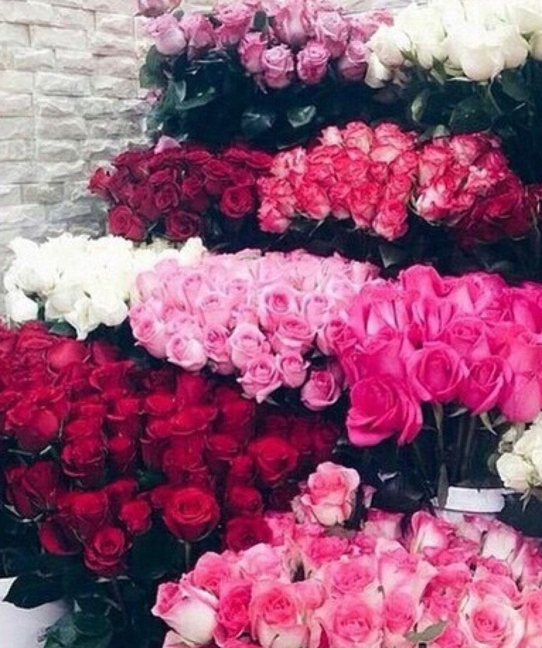 _Heartrainbowsparklefluff_