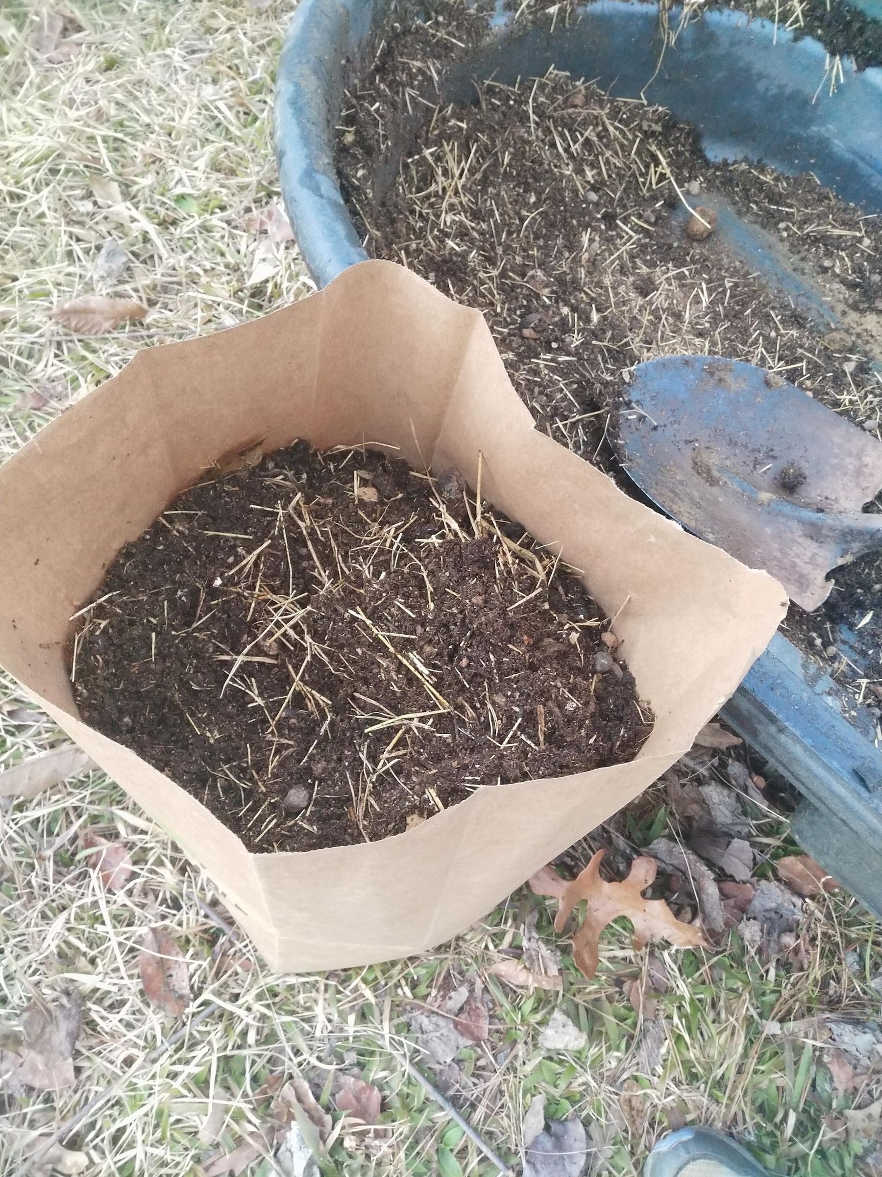Growing Paper Bag Potatoes : 5 Steps (with Pictures) - Instructables