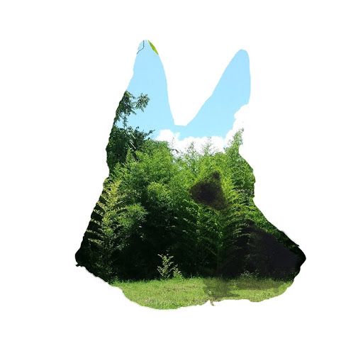 theblckwlf