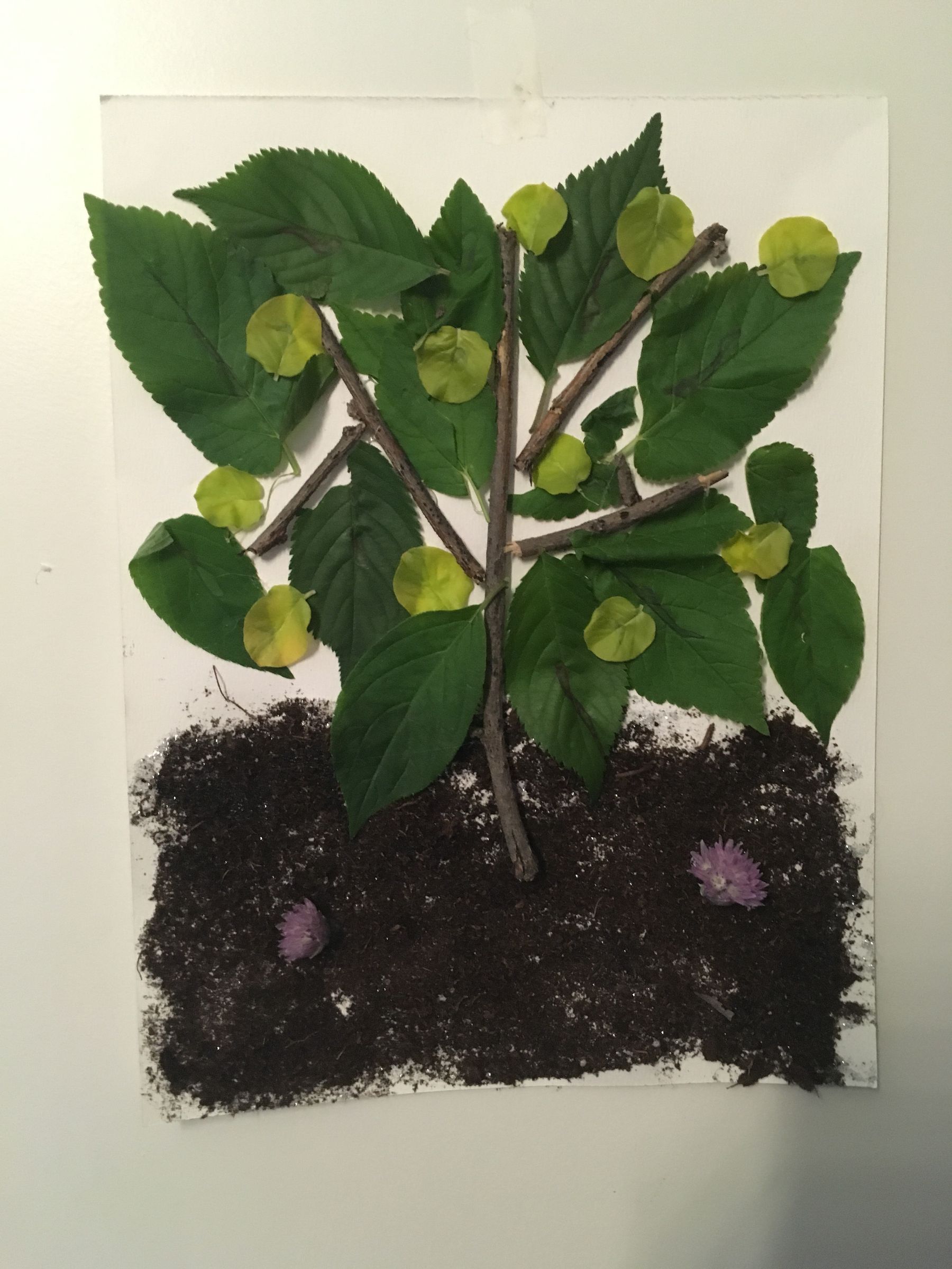 How to Make a Nature Picture