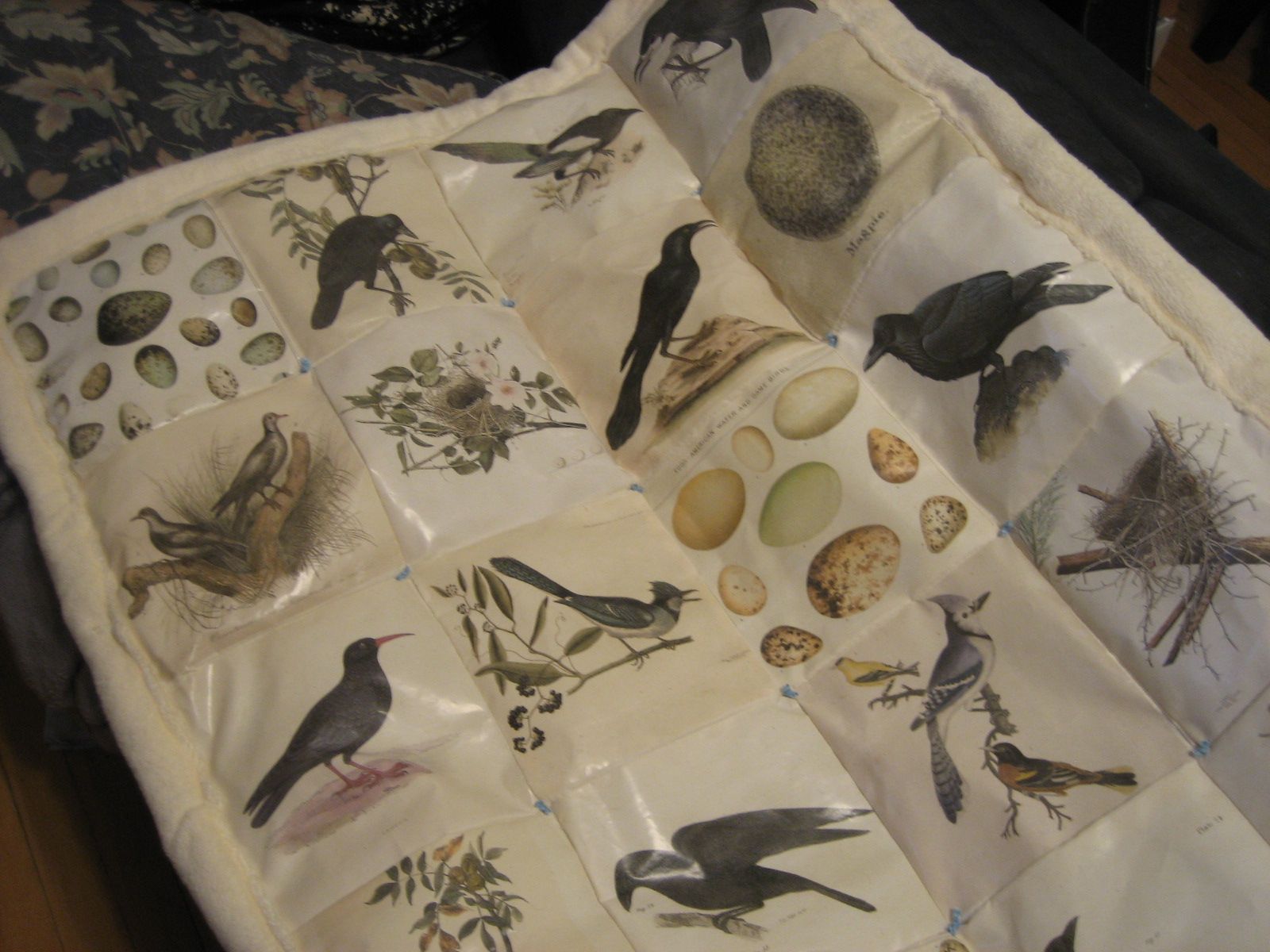 Super Special Baby Quilt