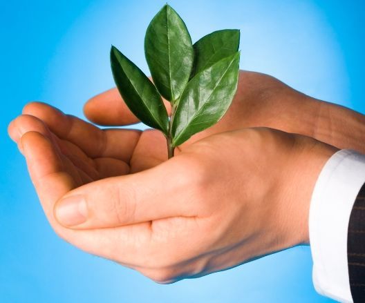 Affordable Office Solutions