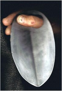 The T Leaf : A.k.a. Toilet Trowel