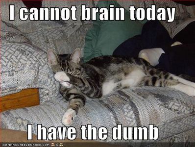 LOLCATS
