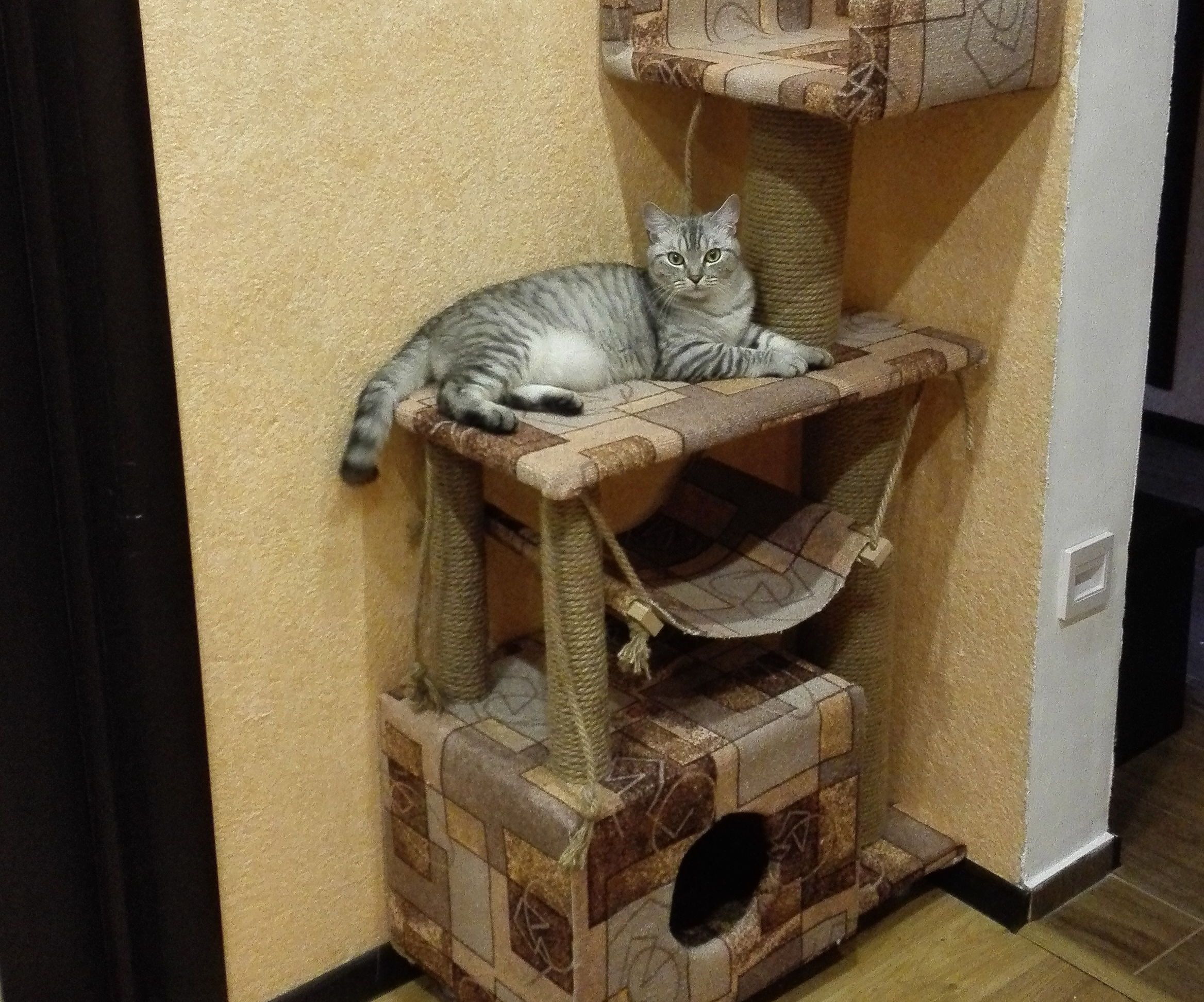 Cathouse