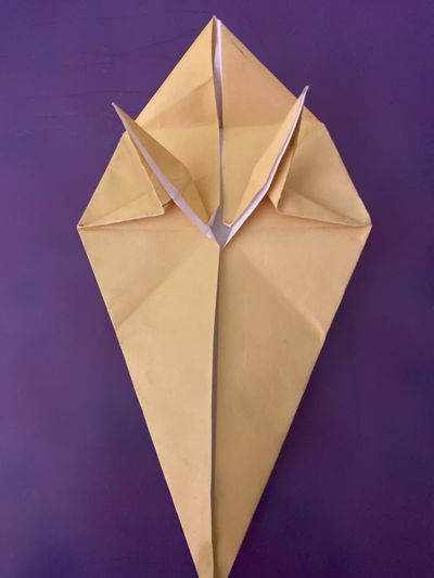 Origami Rat : 27 Steps - Instructables