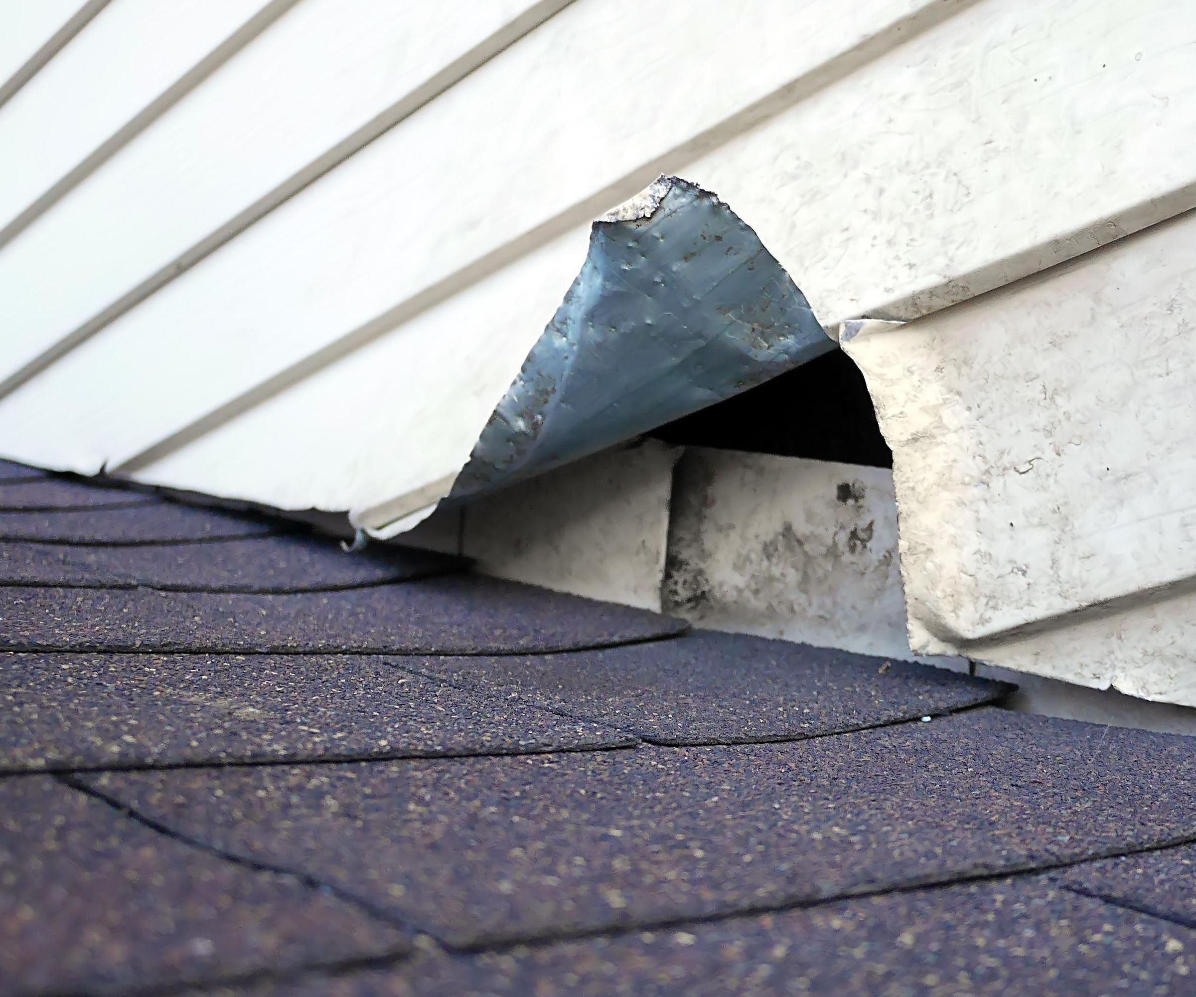 PIR Activated Pest Control Trap