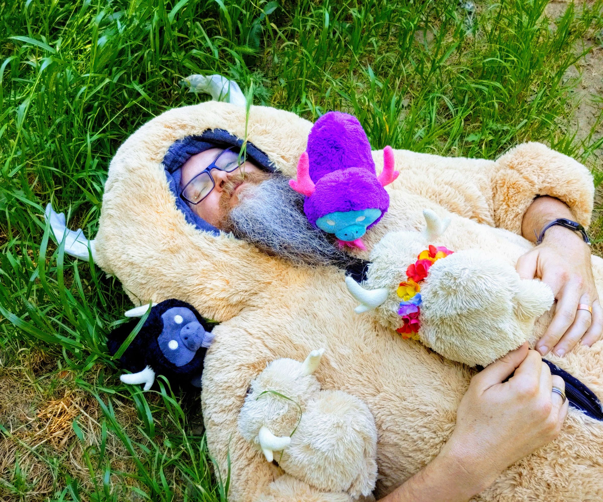 Why I Gutted a Teddy Bear: a Don't Starve Beefalo Cosplay