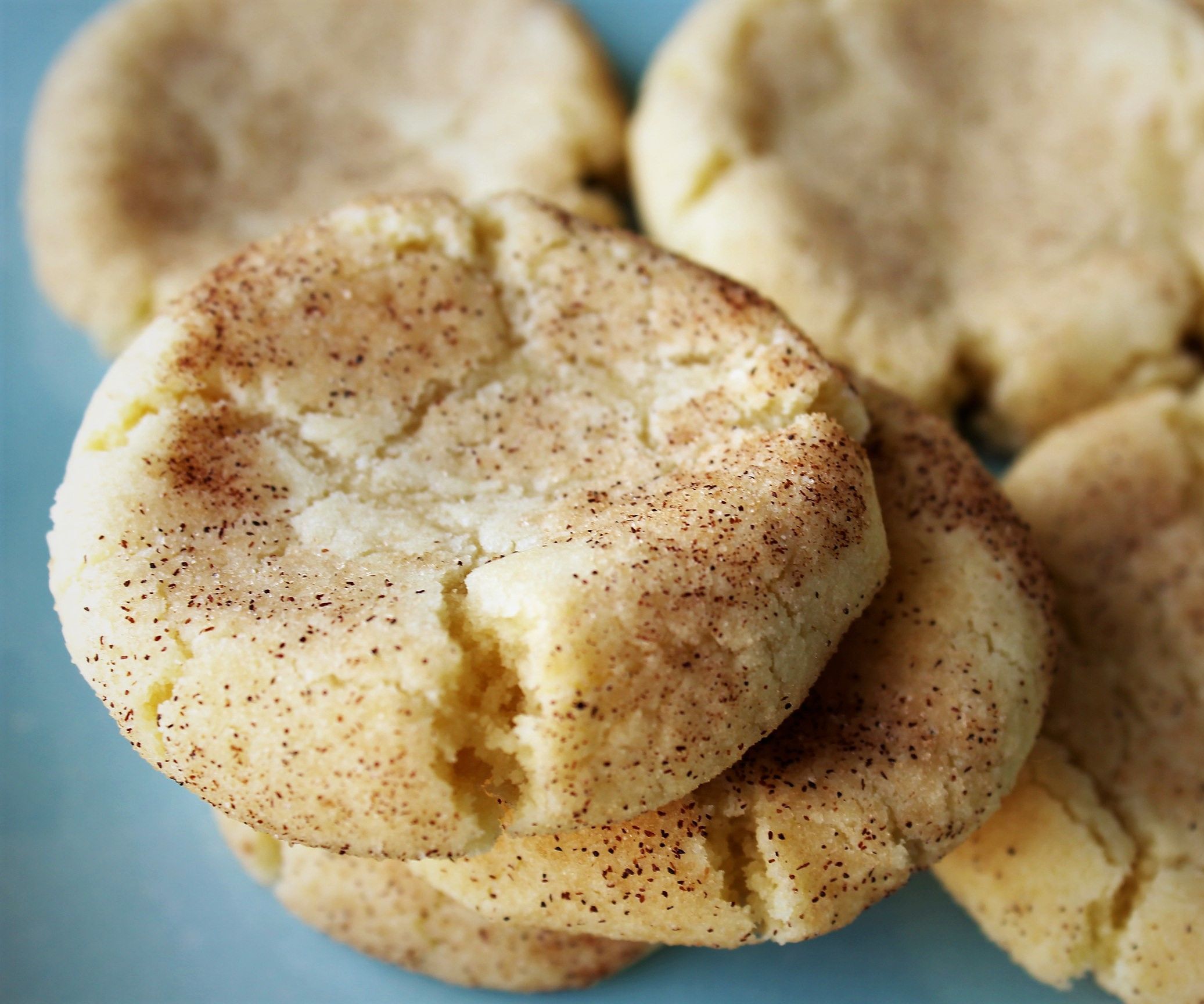 Soft Snickerdoodles