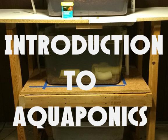 Introduction to Aquaponics