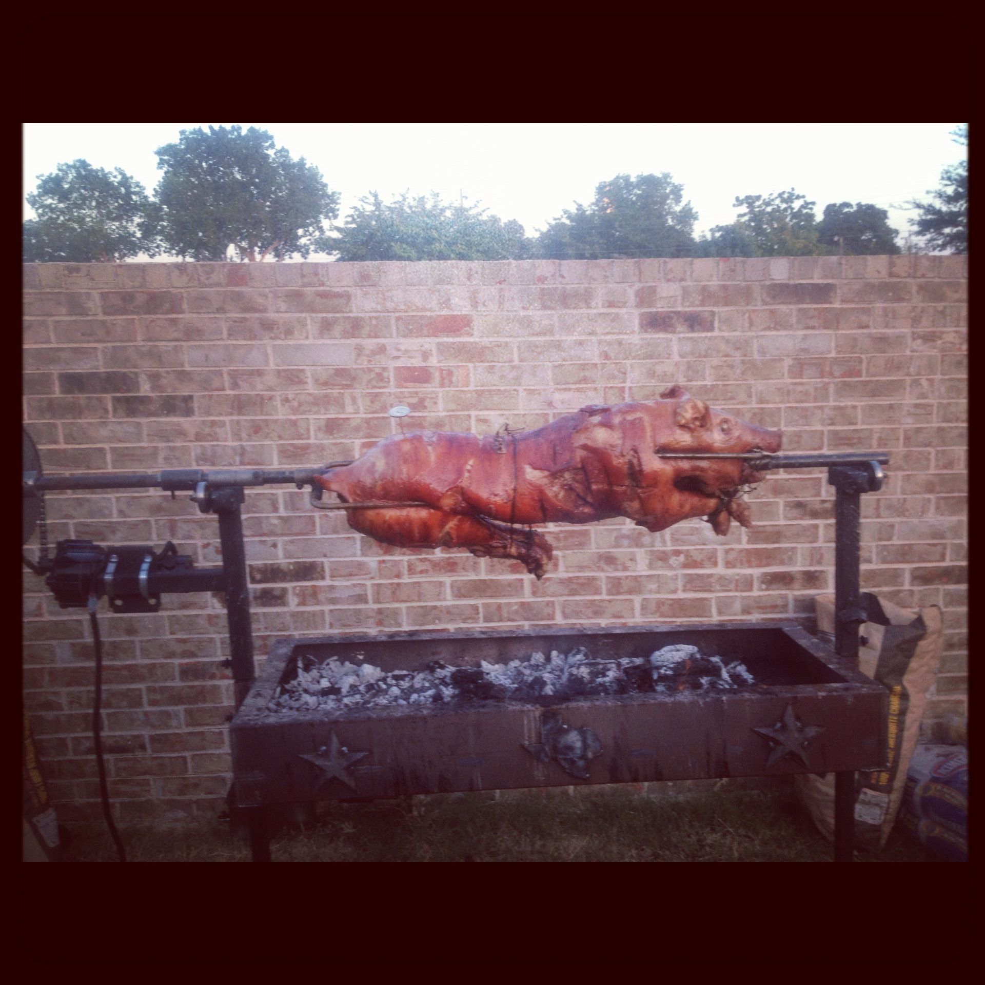 Solar Powered Pig Roaster
