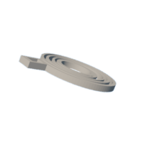 download {{ file.name }}