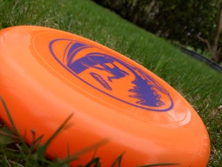 How to Throw a Frisbee Like a Pro