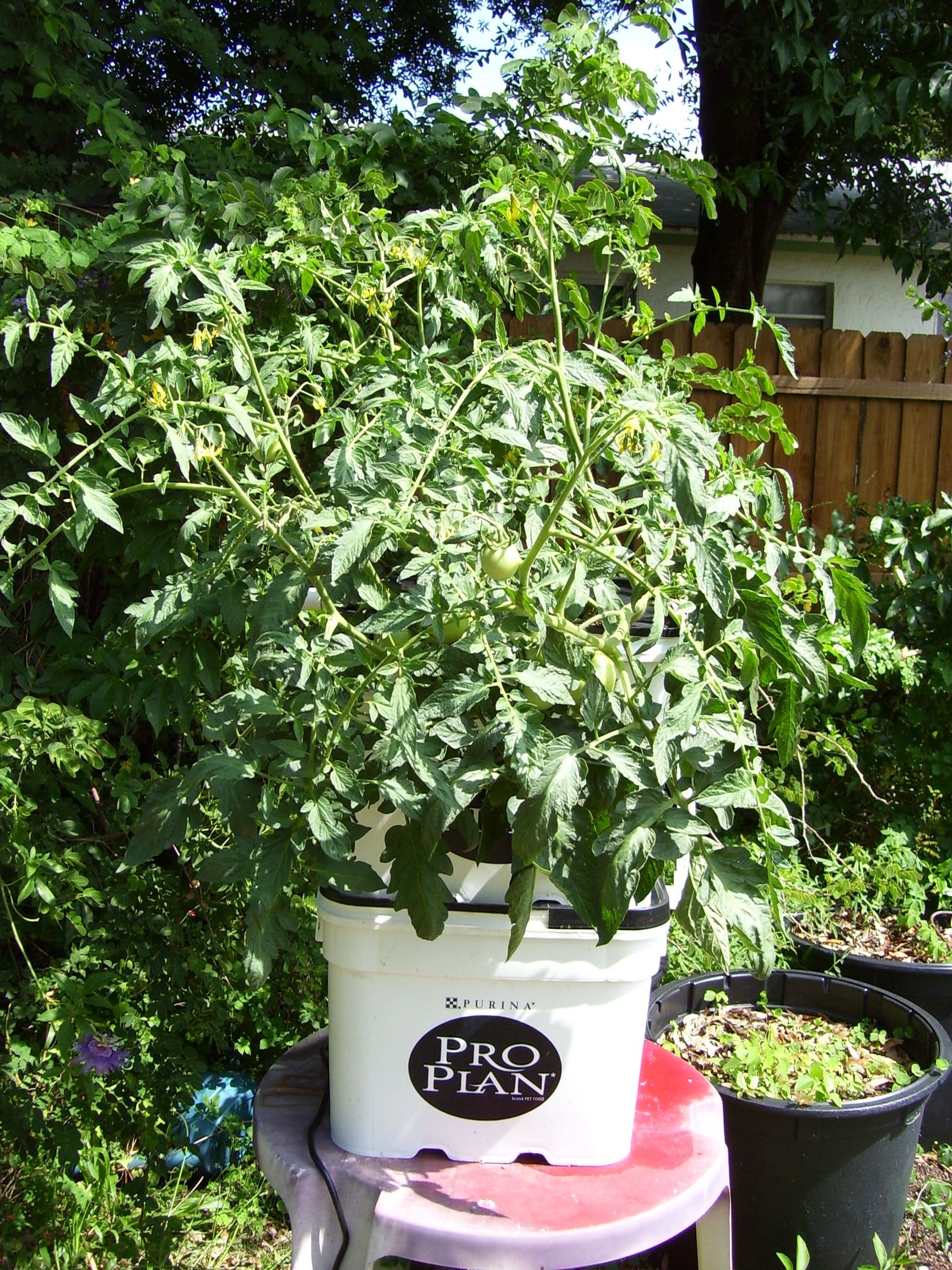 Recirculating Hydroponics