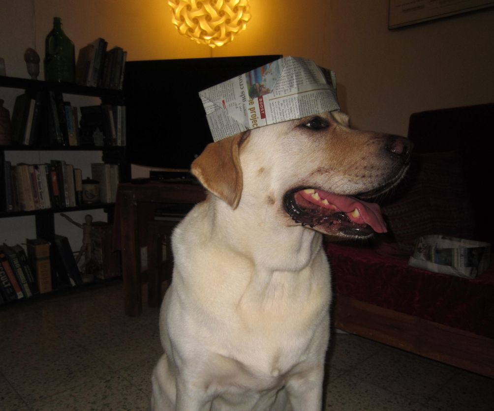 Printer's Hat : Much More Than Just a Hat
