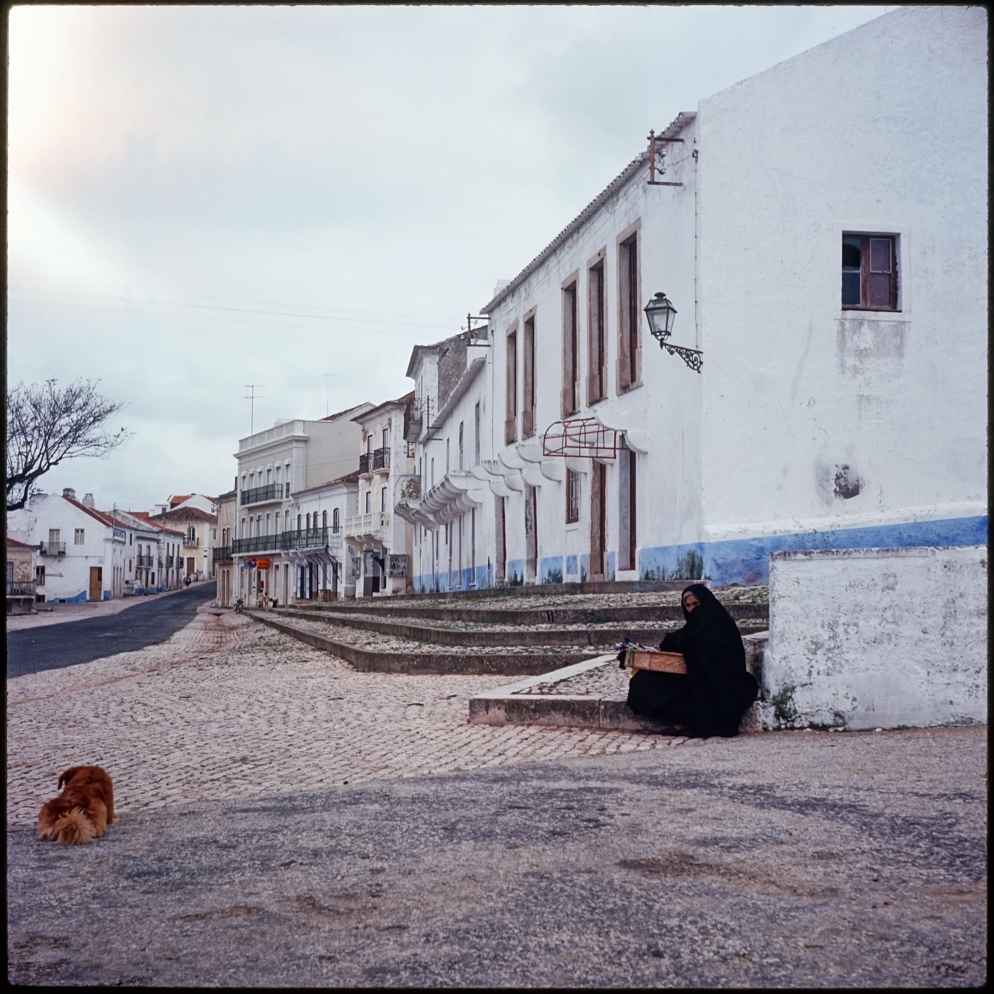 3DPrinted Slide Copy Attachment 4 Steps Instructables