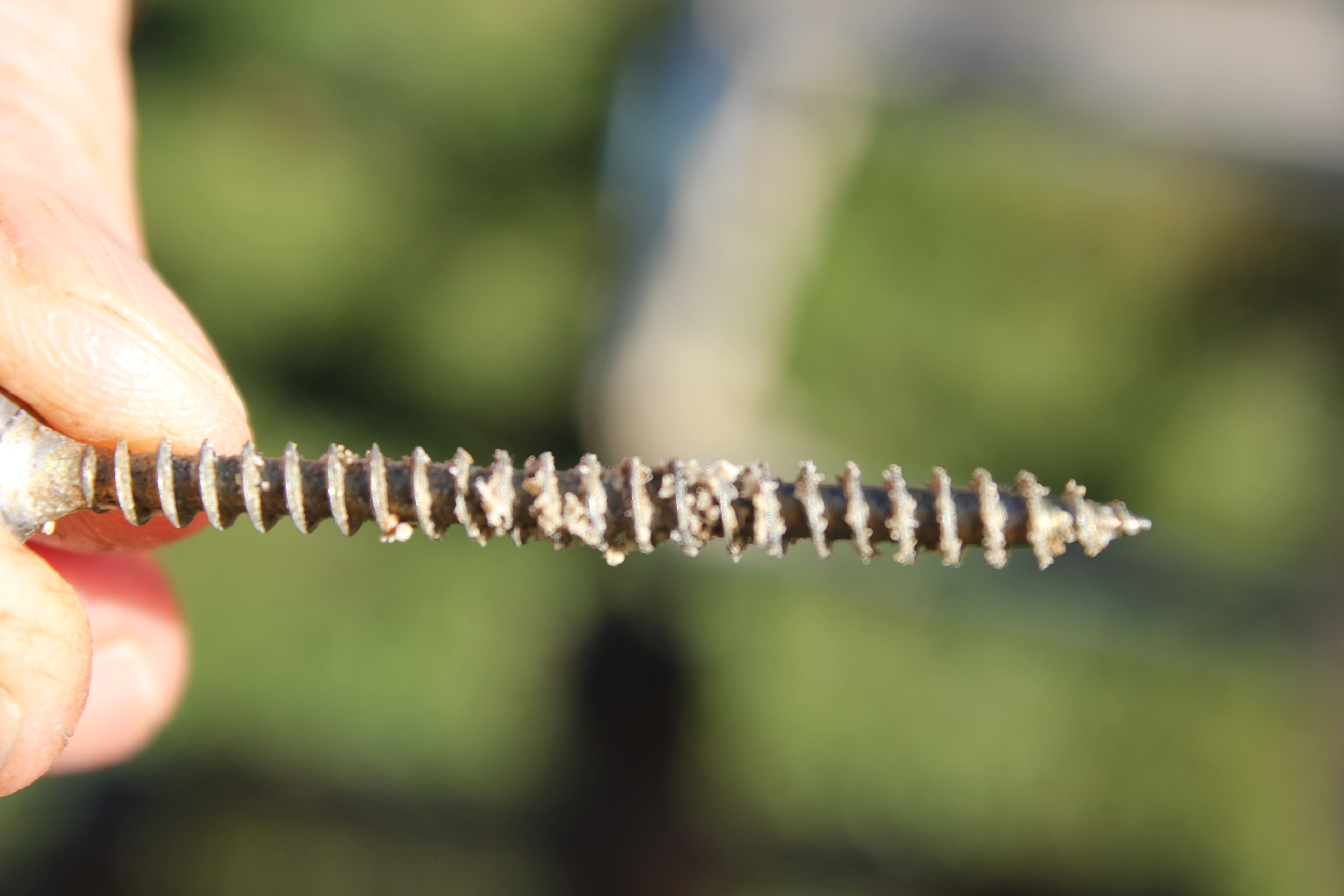 Red Mites - Organic Poultry - 3 Solutions. Traitement Pou Rouge. Tratamiento De Los Ácaros Rojos