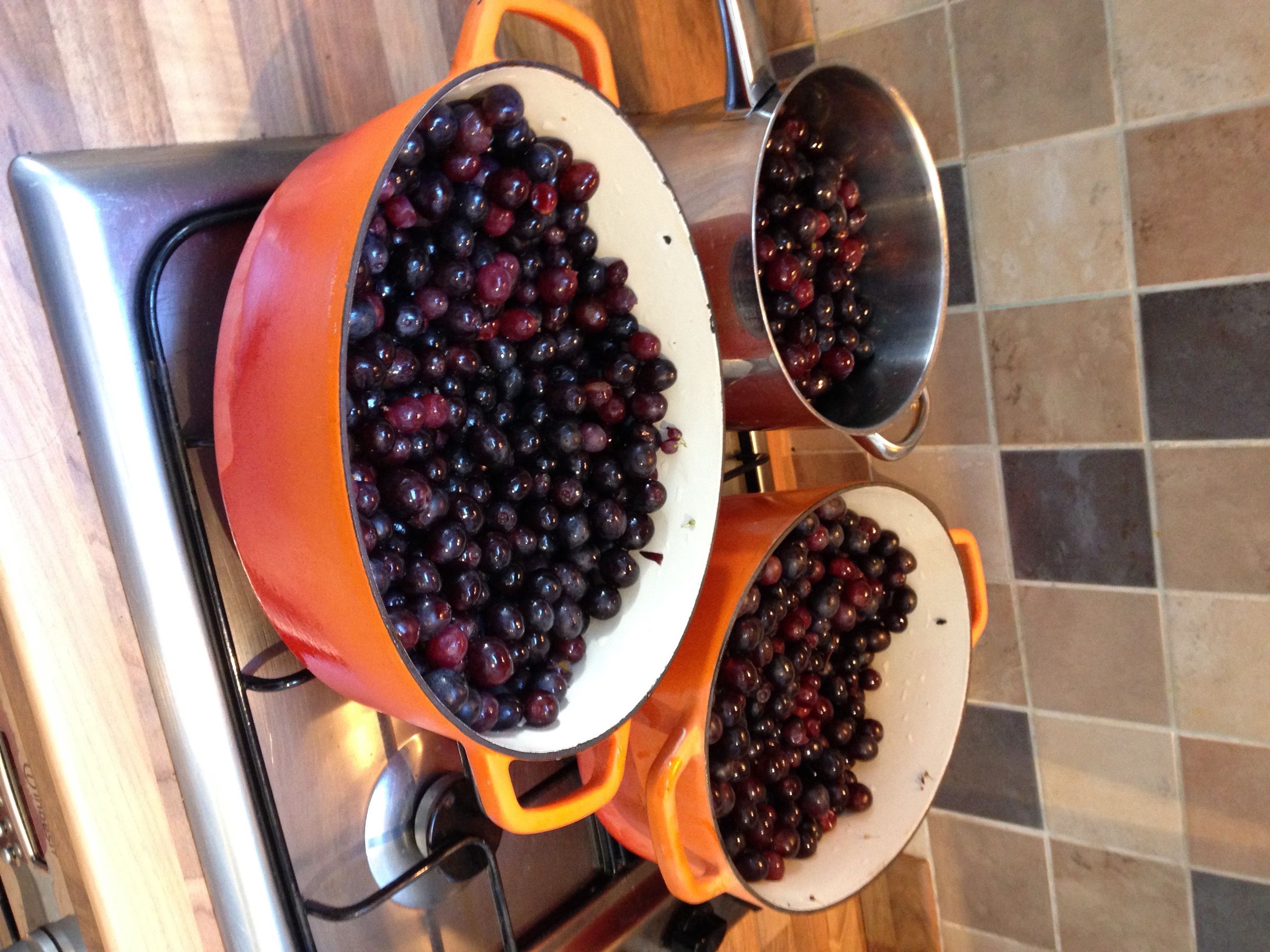 Delicious Organic Red Grape Jelly : 10 Steps (with Pictures ...