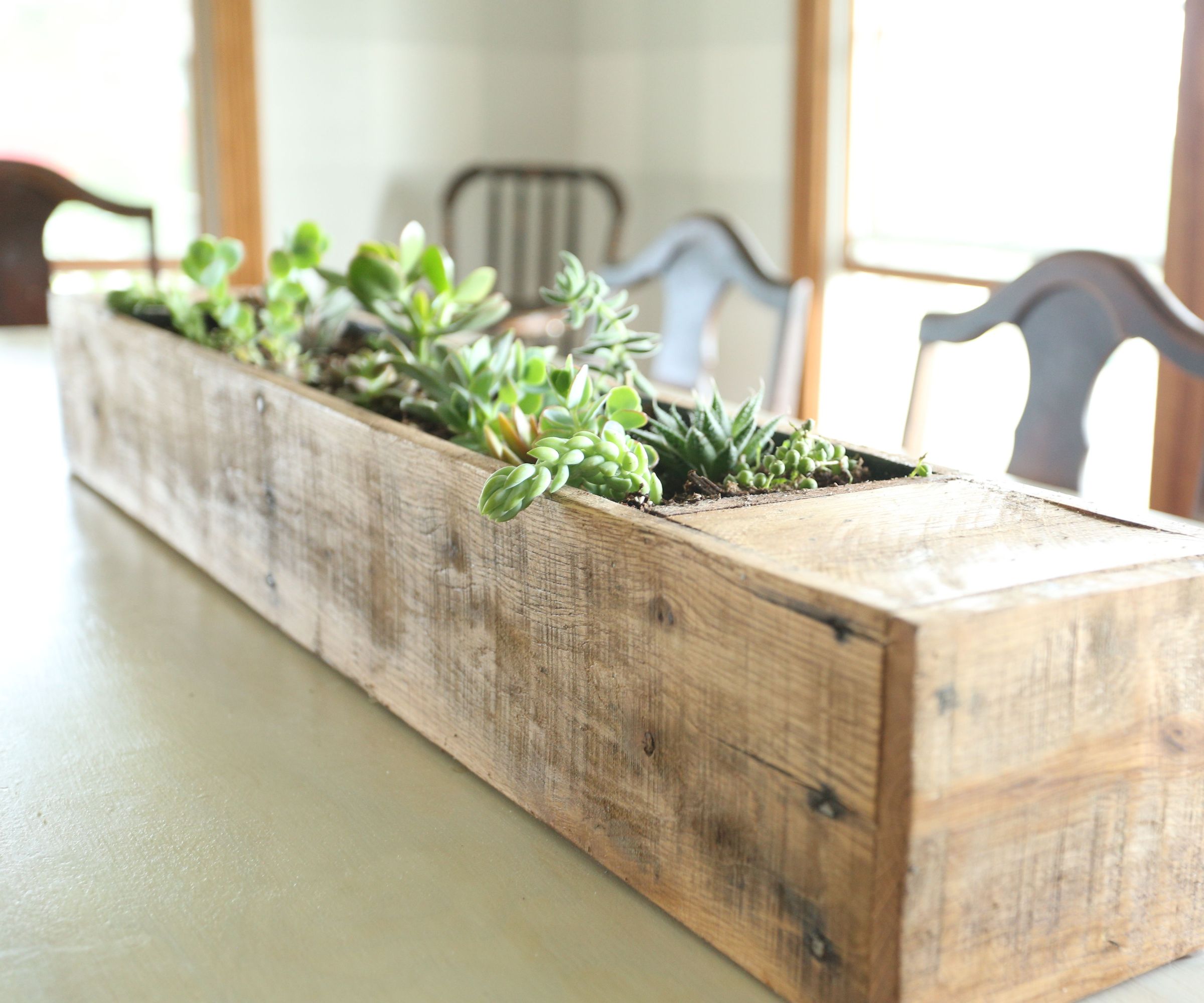 Succulent Planter From Pallet