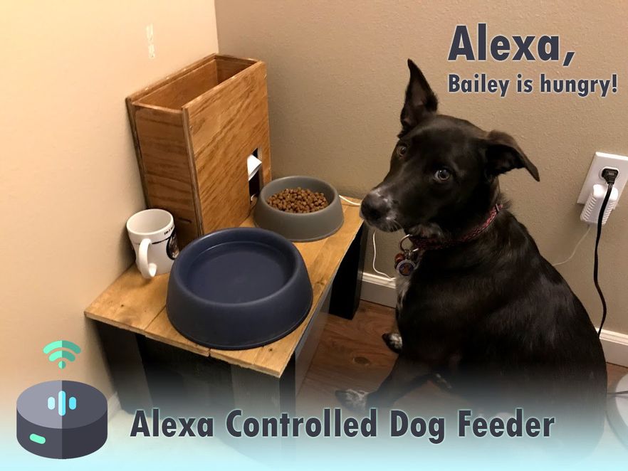 Alexa Controlled Dog Feeder : 6 Steps (with Pictures) - Instructables
