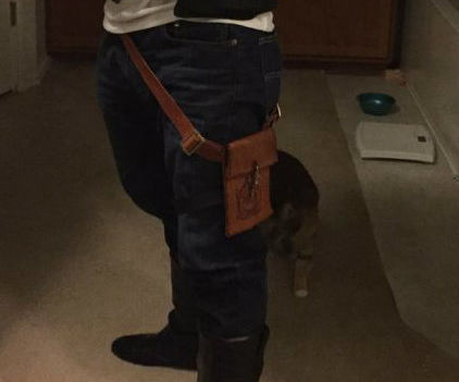 Han Solo Disney Bounding