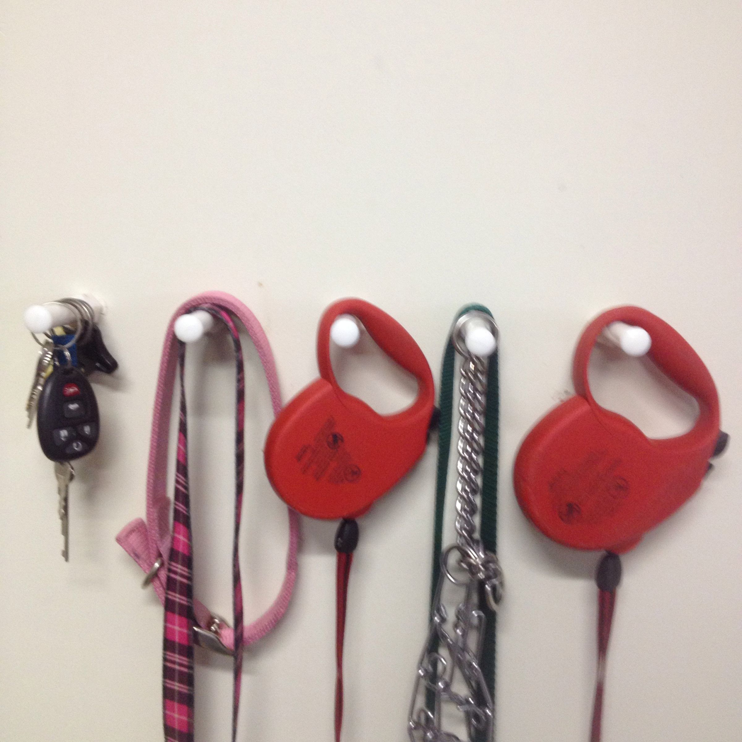 Hanging Pegs Without Hitting Studs