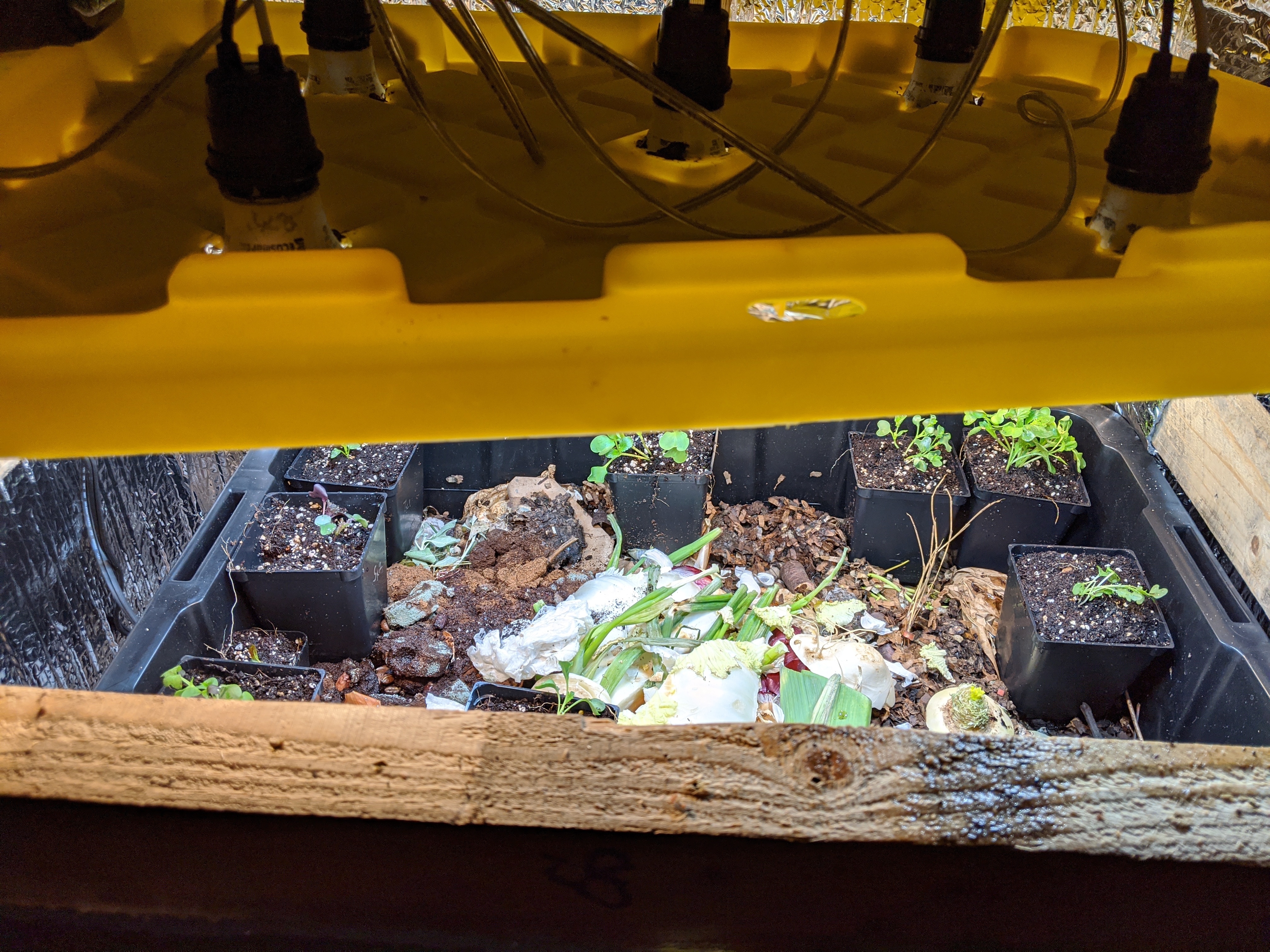 Much Lettuce Machine Aeroponic, Automatic Grow Box 6 Steps (with