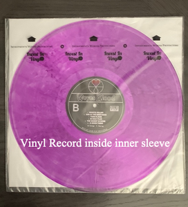 HOW TO STORE a SINGLE VINYL RECORD: Sleeve Vinyl Records and Ringwear Warning