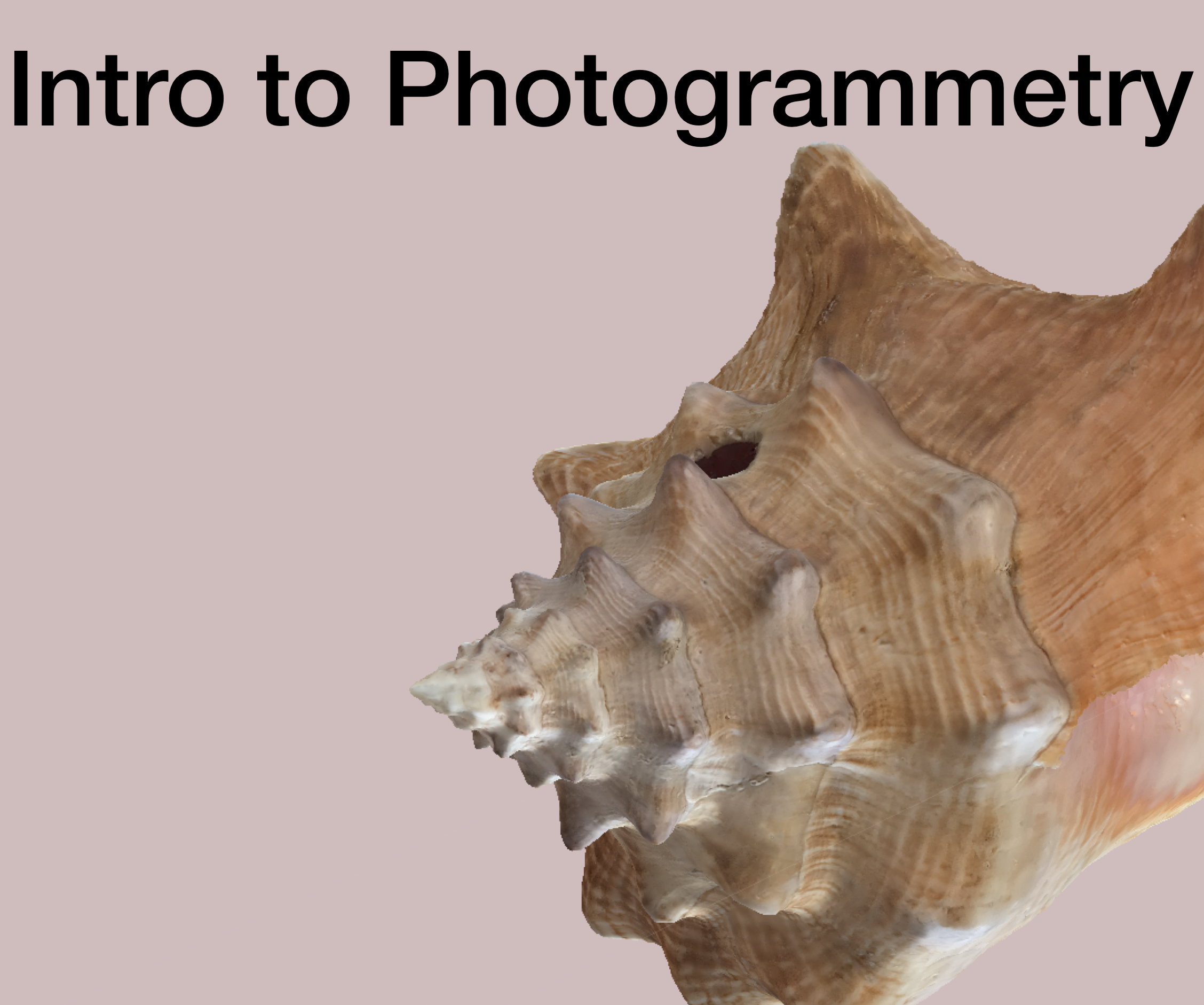 Photogrammetry in 18 Step! (Agisoft Metashape)