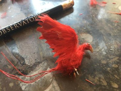 Feathers - Wings